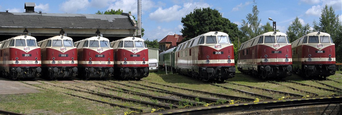 Parade der MEG V180, ©Stefan Scholz